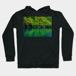 Beautiful emerald lake in a magical forest Hoodie